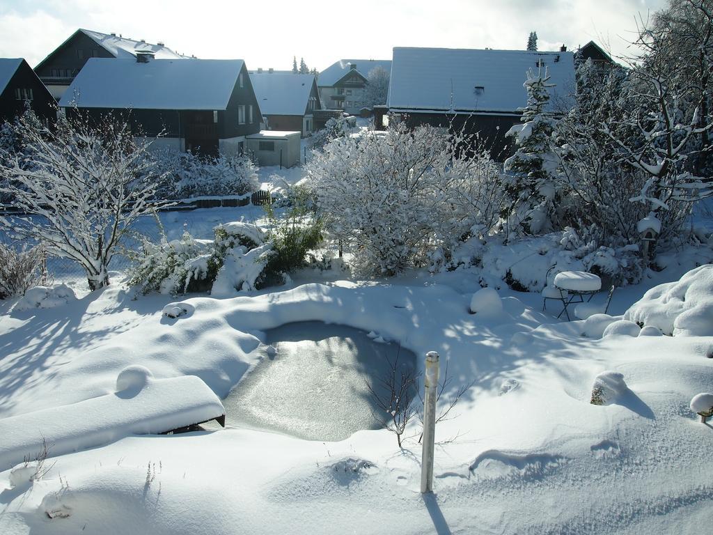 Appartamento Rothaarnest Winterberg Esterno foto